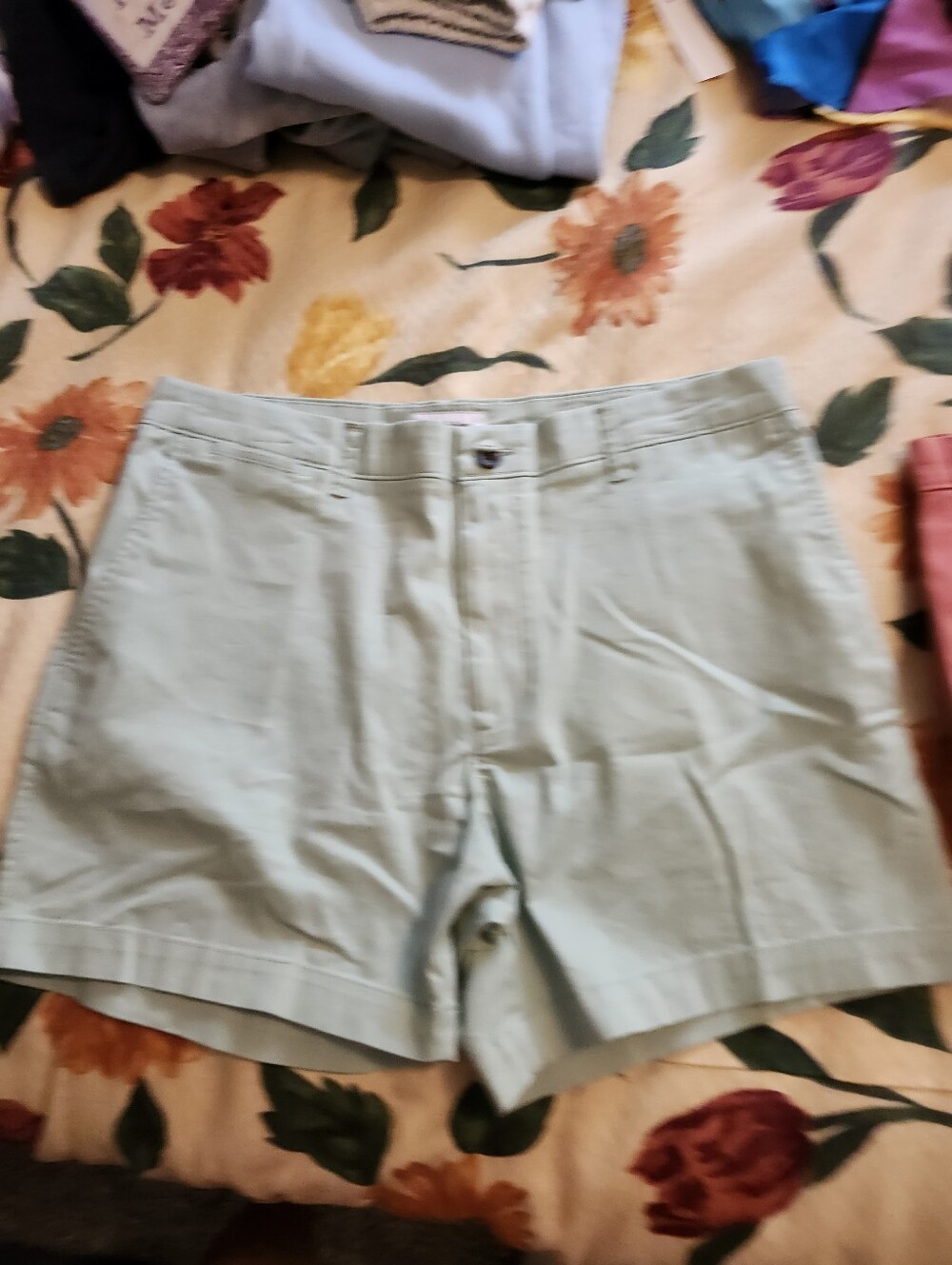 Light Blue Women’s Cotton Blend Shorts